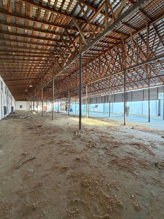 М39 Мелек готовый завод отработки древесины 27соток со всеми удобствам