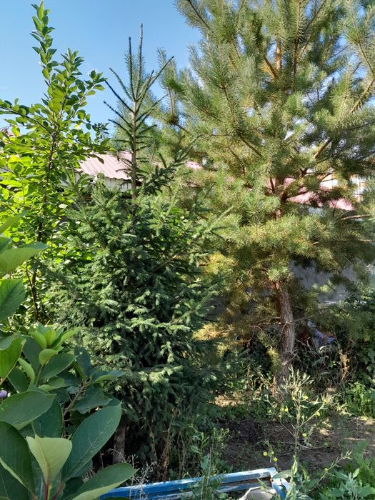 Продам дом или меняю за болашак