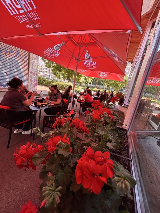 CAFE  Wine   Bar