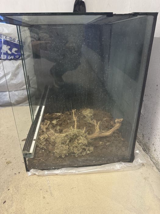 Терариум за отглеждане на влечуги.