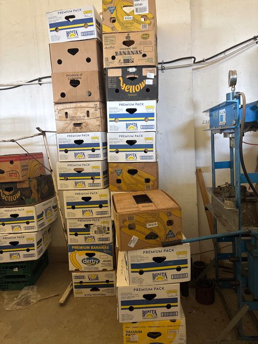 vand bacuri de banane de carton