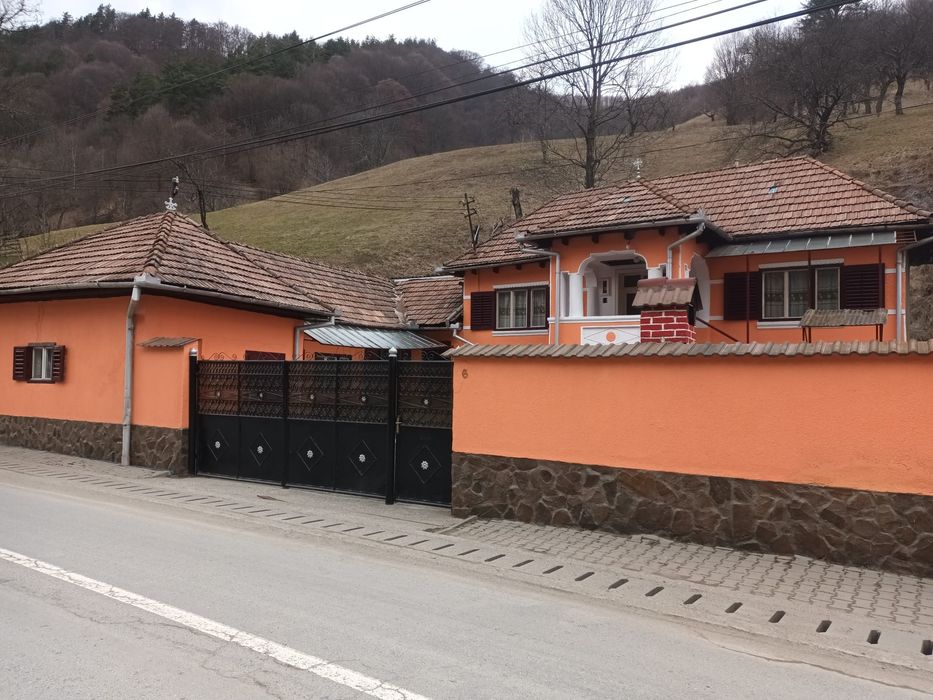 Vând casă traditională