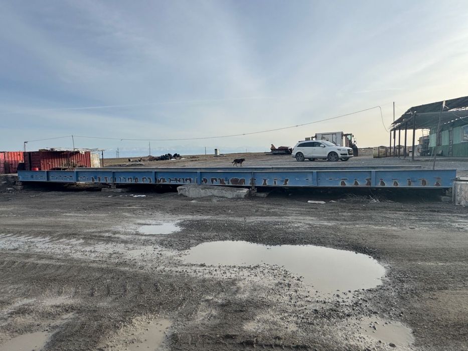 Весы Автомобильные