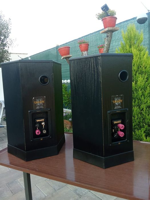 Boxe Rare  Tannoy 605