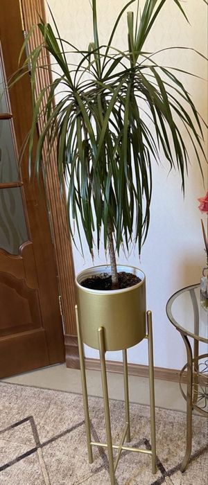 Кашпо хромированное