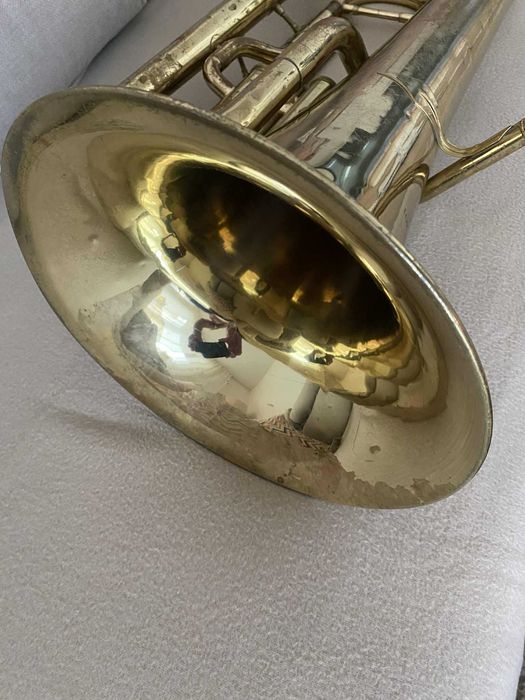 EufoniuYamaha YEP 201