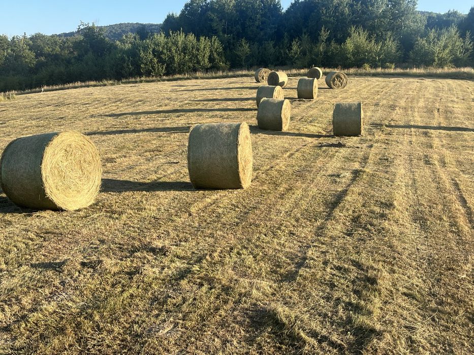 Baloți rotunzi fân pe plasă