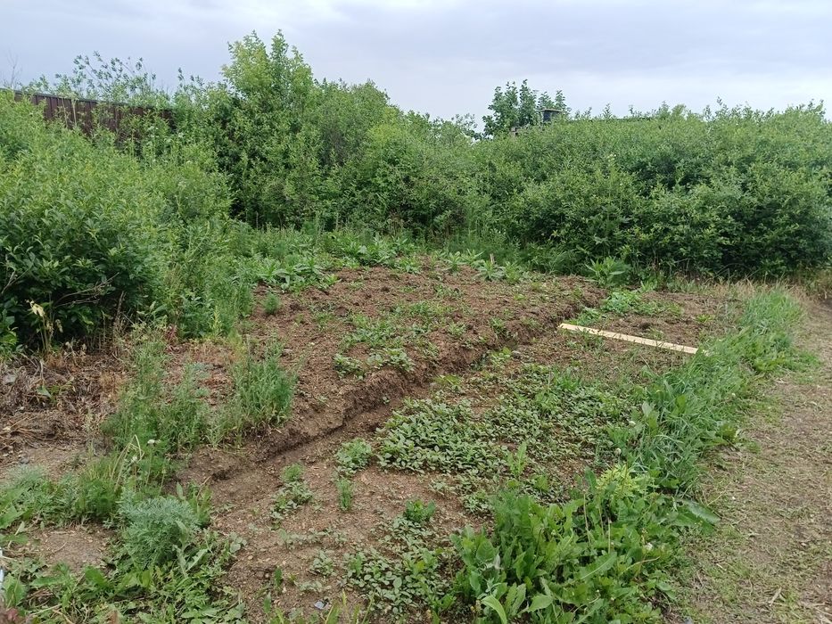 Продам дача, трасса Зерендинский