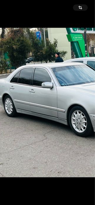 W 210 diska balon elegance