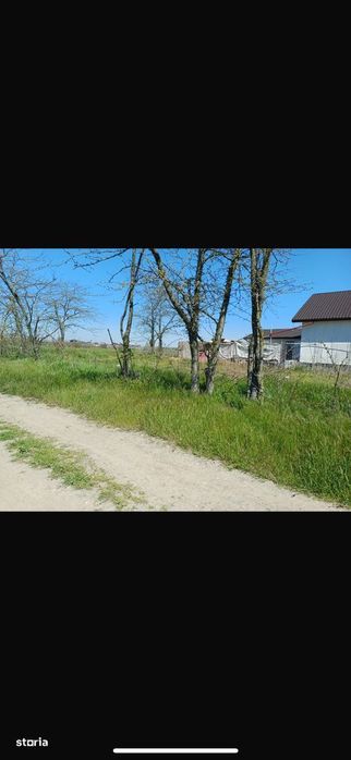 Teren intravilan Năvodari