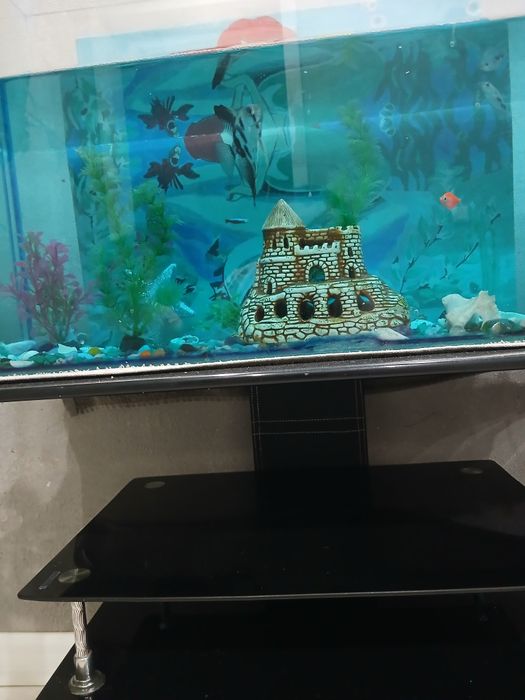 Продам аквариум район океана