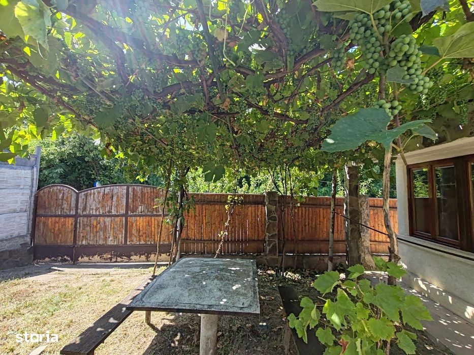 Casa si gradina-95000euro-Picioru Lupului-Comuna Ciurea