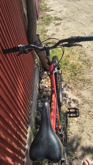 Bicicletă (MTB) copii-adulti