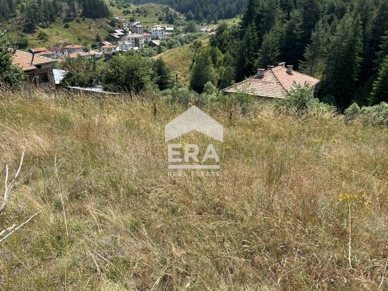 Продава се Парцел в с. Ягодина, Област Смолян - 916 кв.м за 7 €/кв.м - Снимка #4