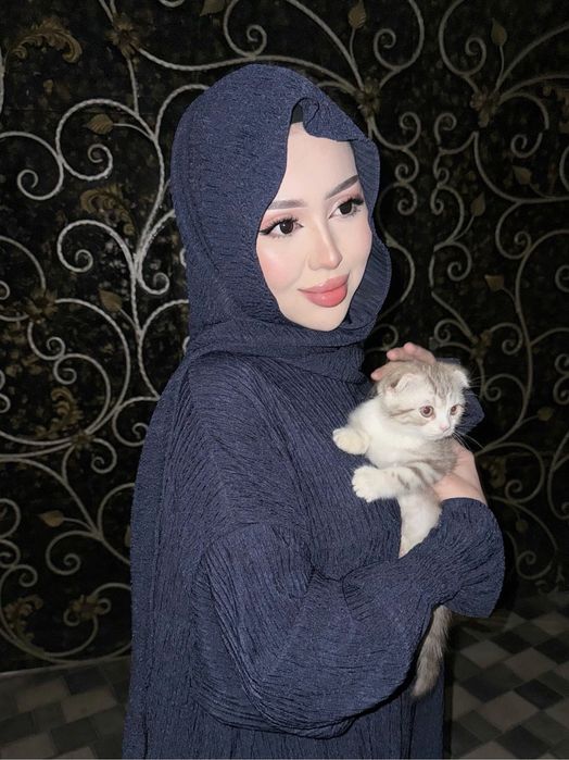 Skotish fold ugil bola