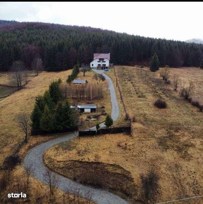 Valea Doftanei - casa + teren 7500mp - 375000 Euro