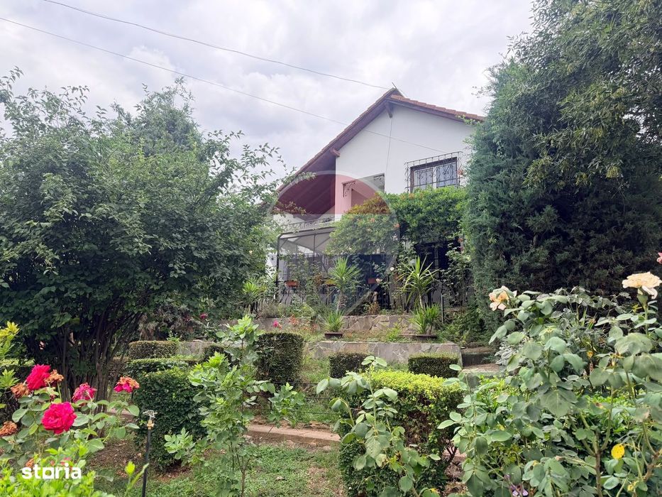 Leamna de sus, casa cu piscina, 2000mp