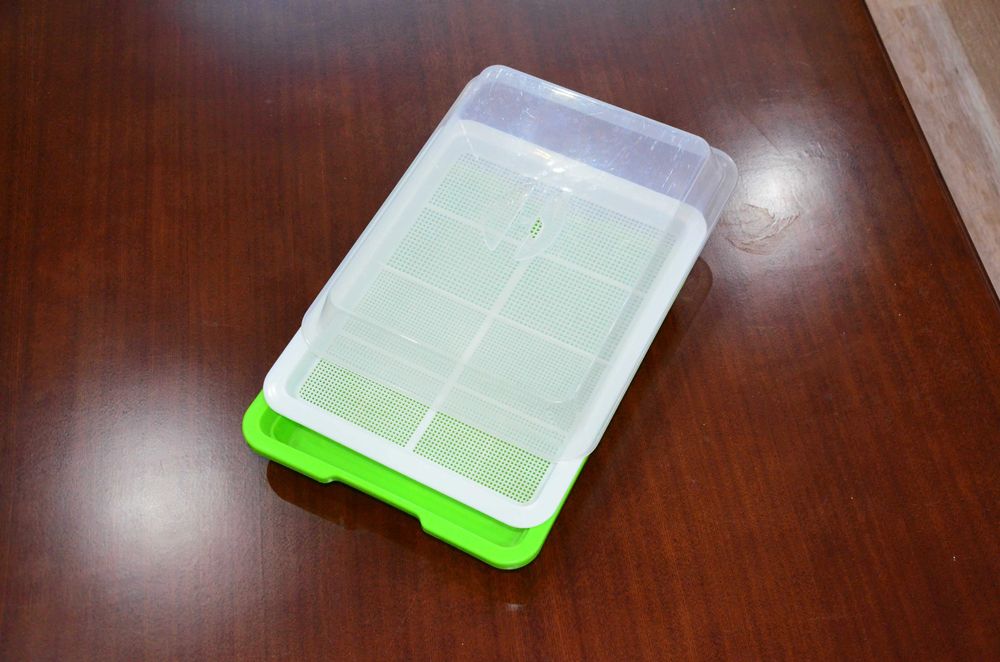 Проращиватель для микрозелени.