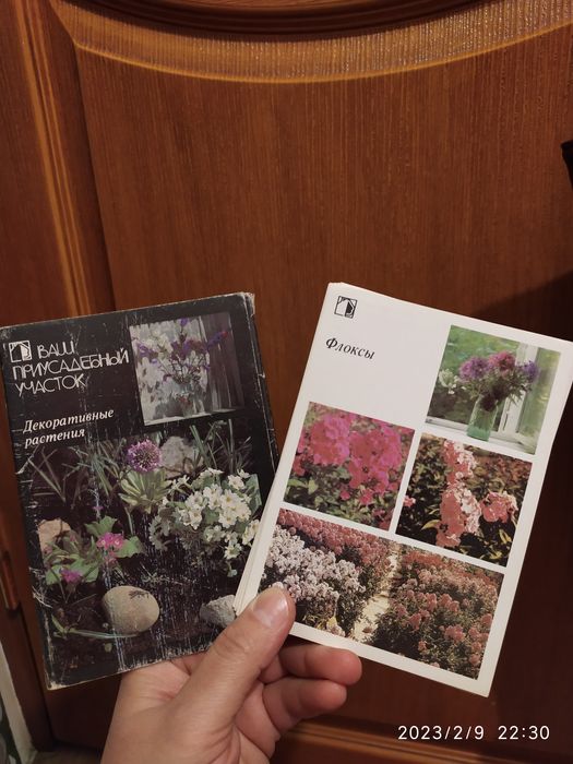 Комнатные растения , зелёная аптека, декоративные растения