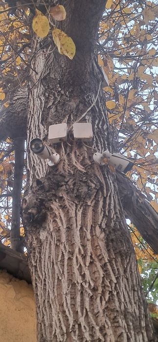 Видеонаблюдение б у