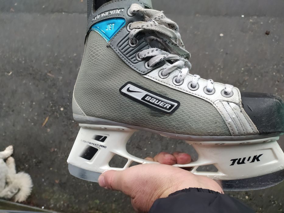 Patine gheata/ hochei bauer
