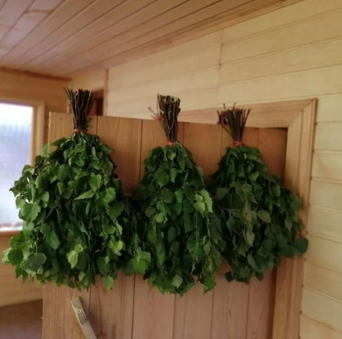 Продам берёзовые веники 700тг