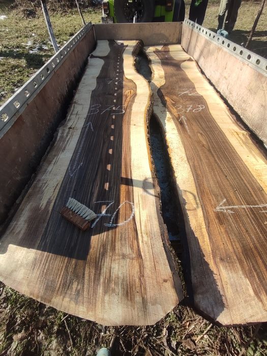 Големи янове орех