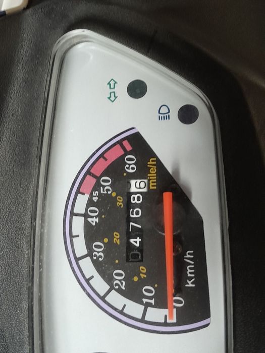 Скутер каури ирбис