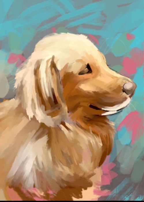 Дигитални илюстрации и карикатури