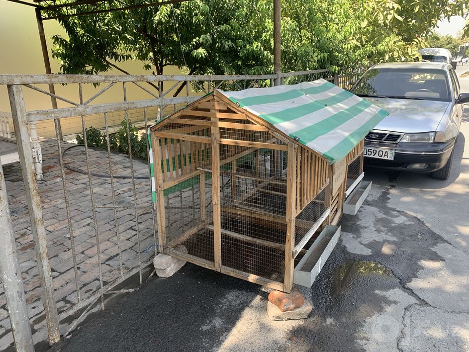 Tovuq katak sotiladi