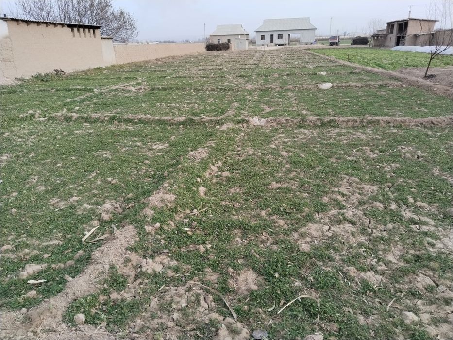 Ер сотилади сурхон 5 кумкишлок махалласида