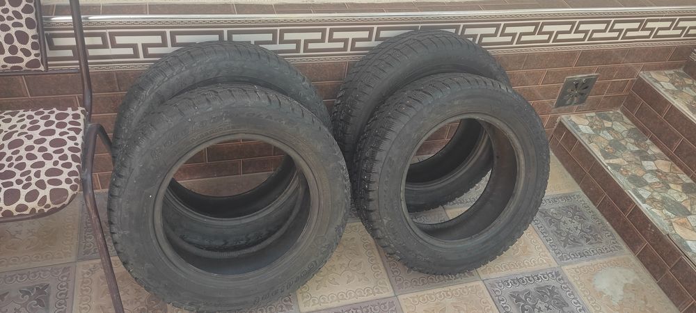 Щина зимние сотилади