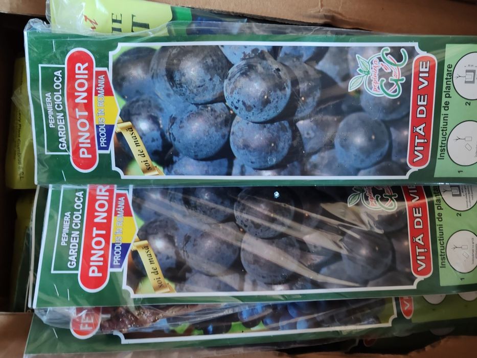 Vita de vie ambalata