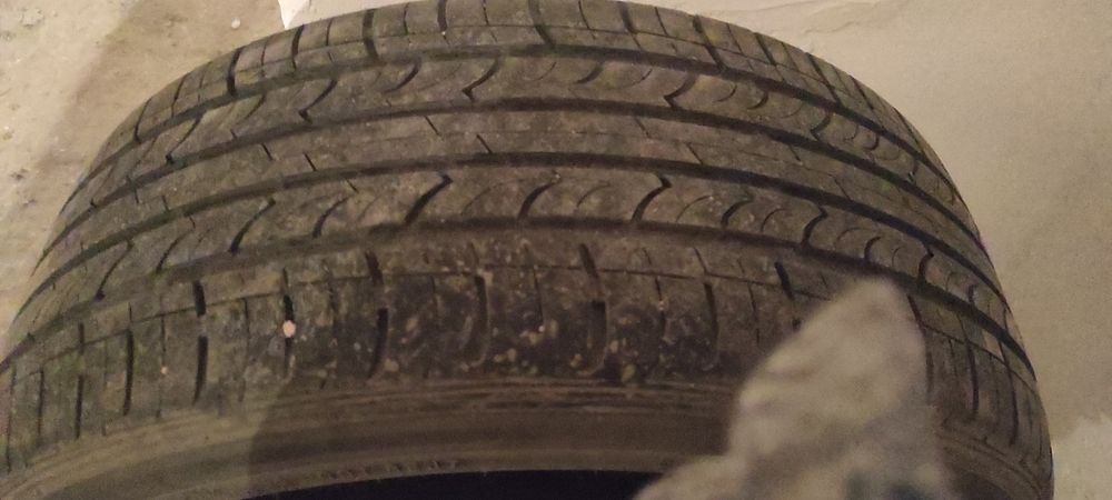 Продам летние шины nexen