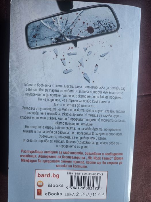 Фрида Макфадън, "Катастрофата "