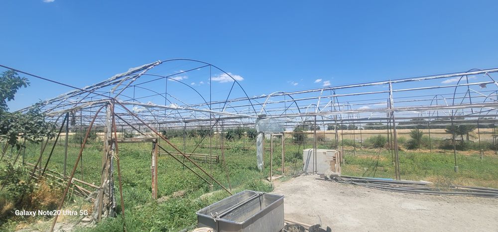 Parnik siotiladi 10 sotix