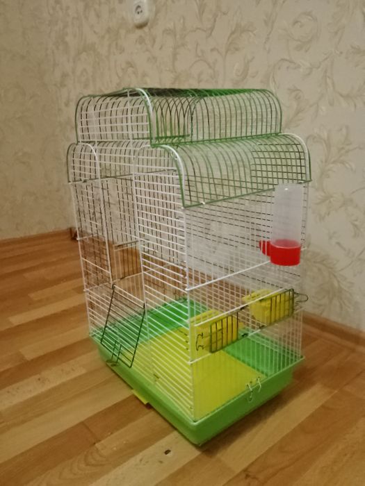 Зелёная большая клетка