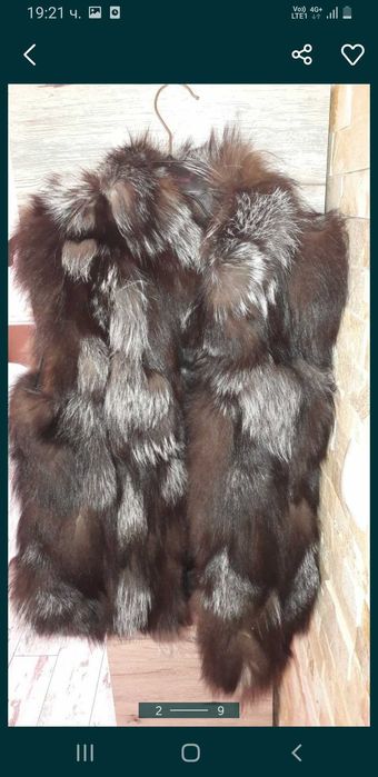 Нов елек сребърна лисица