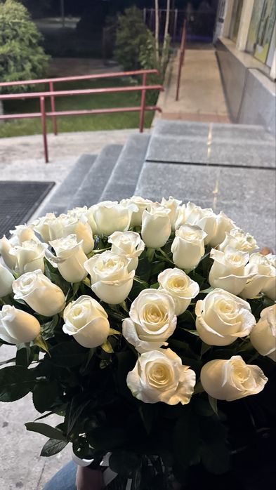 51 роза голландские