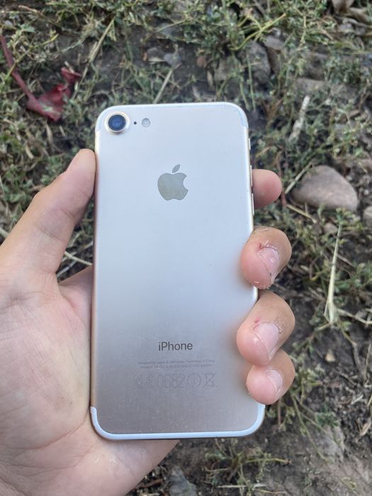 Iphone11 Iphone 11