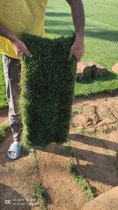 Акция Рулонный газон.До конца акции осталось 3 дня.