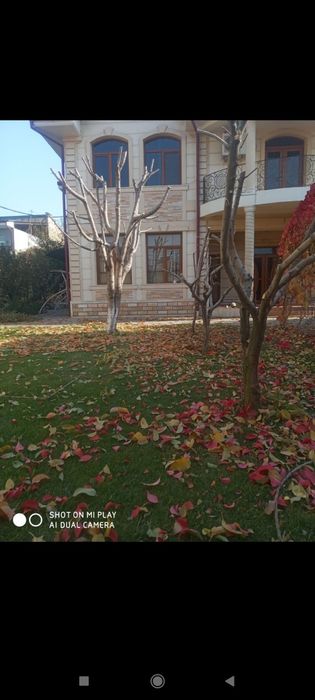 Sadovnik bogʻbon xizmati