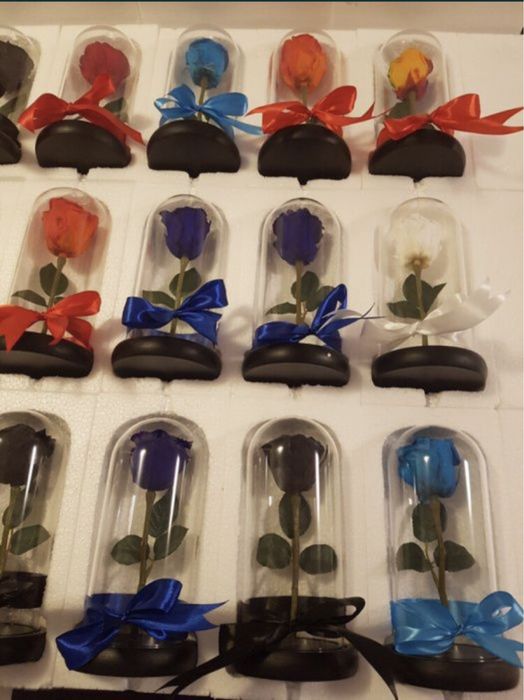 Cupola cu trandafir criogenat ideal pt cadou