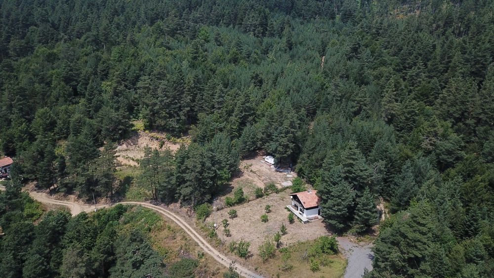 Продава се Парцел в Разлог - 3011 кв.м за 19 €/кв.м - Снимка #2