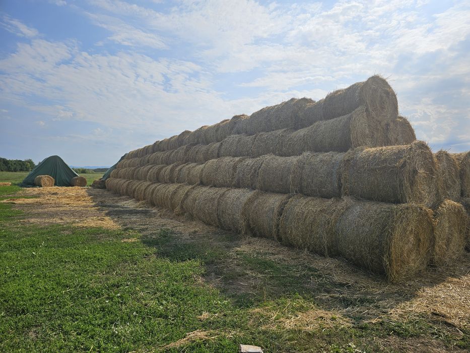 Vând Balot de Paie Orz Garu si ovaz calitate 1 2025