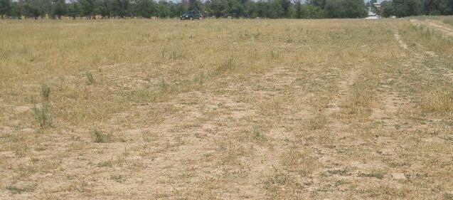 Продам землю 10 гектар