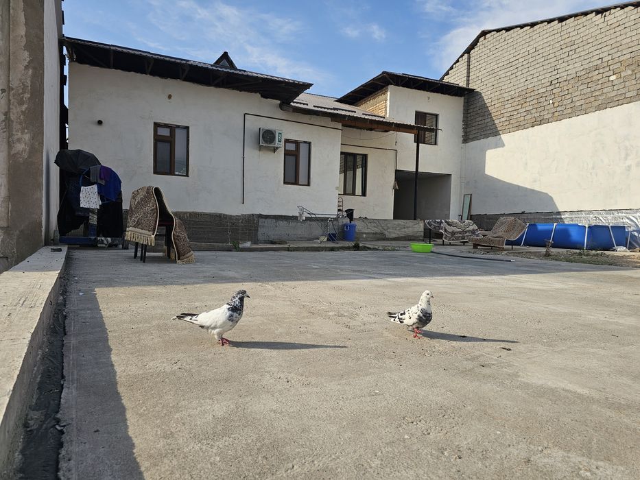 Хонобод 8 соток 7 комн