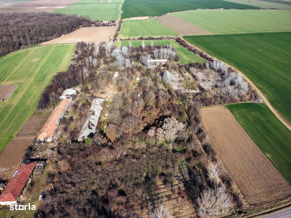 Ferma si livada de meri in judetul Ilfov
