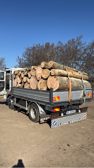 Lemne de foc esenta tare