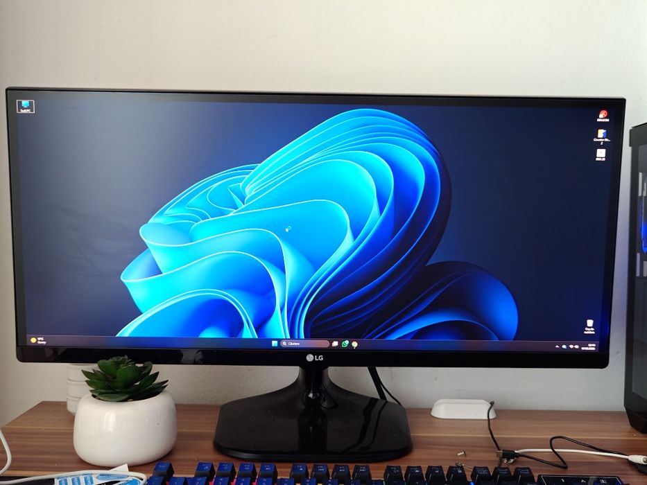 Monitor LG 29 inch